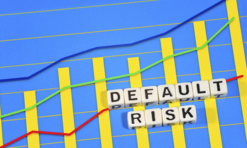(Default Risk) What is Default Risk?