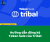 Cách đăng ký Token Sale của TRIBAL trên CoinLisst